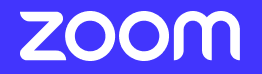Zoom