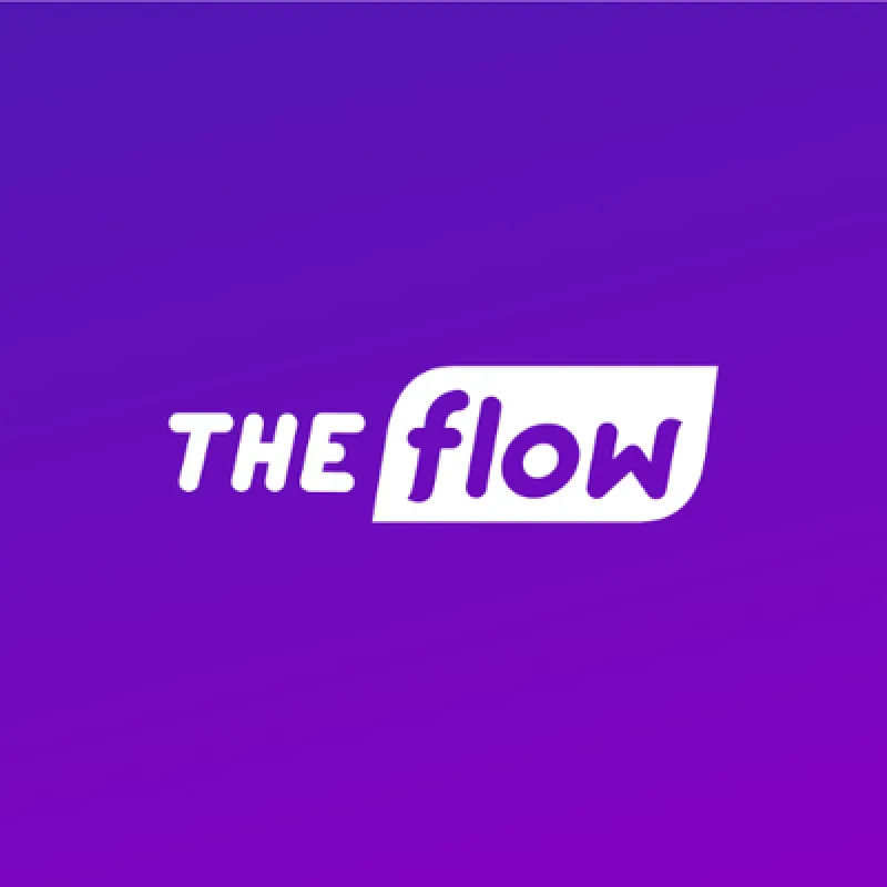 TheFlow